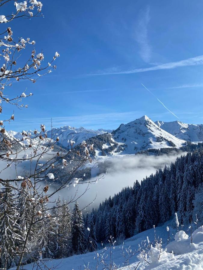Hotel Rhodos Morzine Avoriaz Kültér fotó